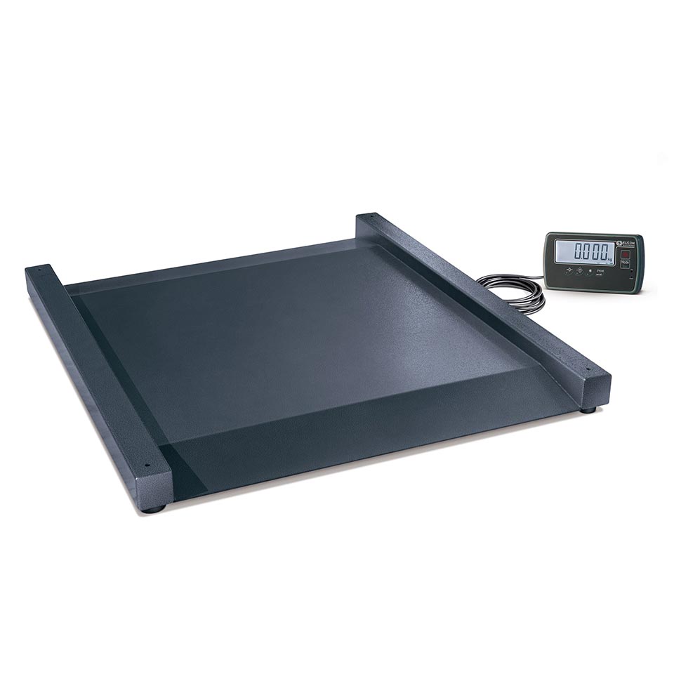 Prolazna podna vaga DL